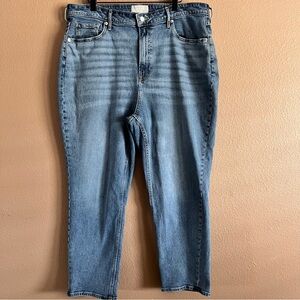 Everlane The Curvy Cheeky Straight Leg High Rise Jeans Size 35